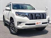 2023 TOYOTA LAND CRUISER PRADO