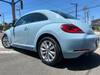 VOLKSWAGEN THE BEETLE