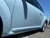 VOLKSWAGEN THE BEETLE