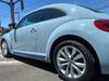 VOLKSWAGEN THE BEETLE