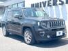 CHRYSLER JEEP RENEGADE
