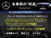 MERCEDES BENZ OTHER