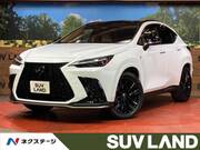 2024 LEXUS NX