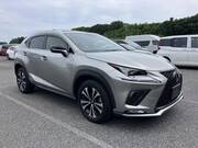 2019 LEXUS NX