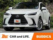 2025 LEXUS NX
