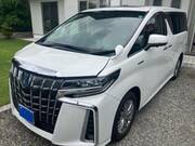 2019 TOYOTA ALPHARD HYBRID