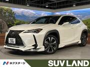 2019 LEXUS UX