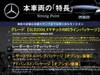 MERCEDES BENZ OTHER