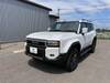 TOYOTA LANDCRUISER 250