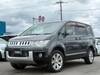 MITSUBISHI OTHER