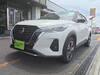 NISSAN OTHER