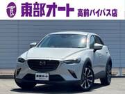 2019 MAZDA CX-3
