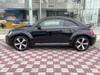 VOLKSWAGEN THE BEETLE