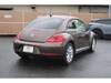 VOLKSWAGEN THE BEETLE