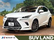 2019 LEXUS NX