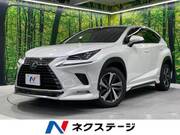 2018 LEXUS NX