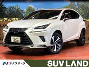 2020 LEXUS NX