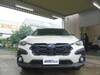 SUBARU OTHER