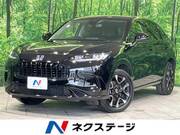 2025 HONDA OTHER