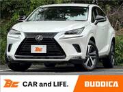 2019 LEXUS NX