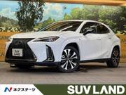 2021 LEXUS UX