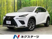 2019 LEXUS NX