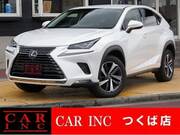 2018 LEXUS NX