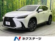 2021 LEXUS NX