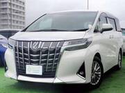 2019 TOYOTA ALPHARD 2.5G