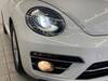 VOLKSWAGEN THE BEETLE