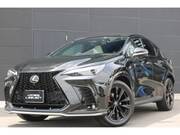 2025 LEXUS NX