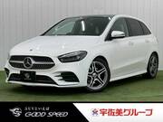 2019 MERCEDES BENZ B-CLASS