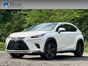 2018 LEXUS NX