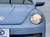 VOLKSWAGEN THE BEETLE