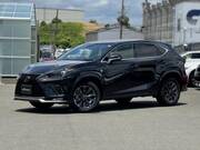 2020 LEXUS NX