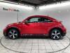 VOLKSWAGEN THE BEETLE