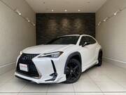 2021 LEXUS UX