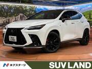 2025 LEXUS NX