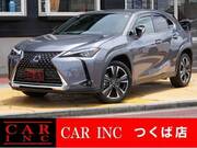2021 LEXUS UX