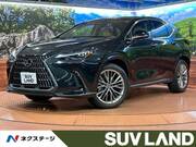 2023 LEXUS NX