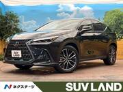 2021 LEXUS NX