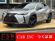 2020 LEXUS UX