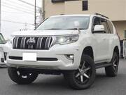 2019 TOYOTA LAND CRUISER PRADO