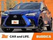 2021 LEXUS NX