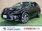 2017 LEXUS NX