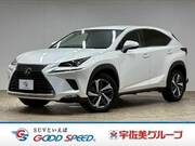 2018 LEXUS NX