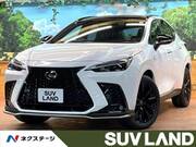 2025 LEXUS NX