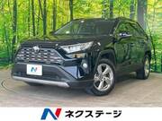 2019 TOYOTA RAV4 G