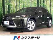 2020 LEXUS UX