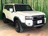 TOYOTA LANDCRUISER 250